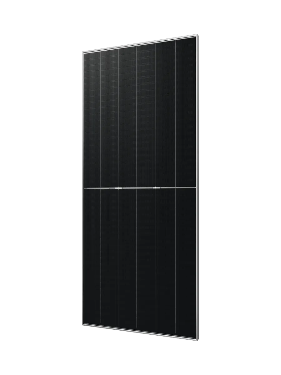 Tongwei TOPCon Modules